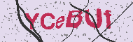 Captcha認証コード