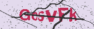 Captcha認証コード