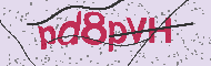 Captcha認証コード