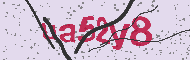 Captcha認証コード