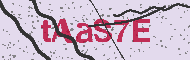 Captcha認証コード