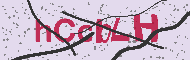 Captcha認証コード