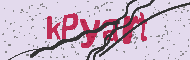 Captcha認証コード