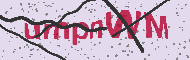 Captcha認証コード